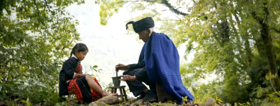 中医药纪录片：《追梦中医药》